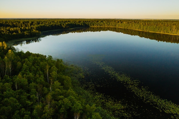 Vista superior del lago Bolta en el bosque en el Parque Nacional de los lagos de Braslav