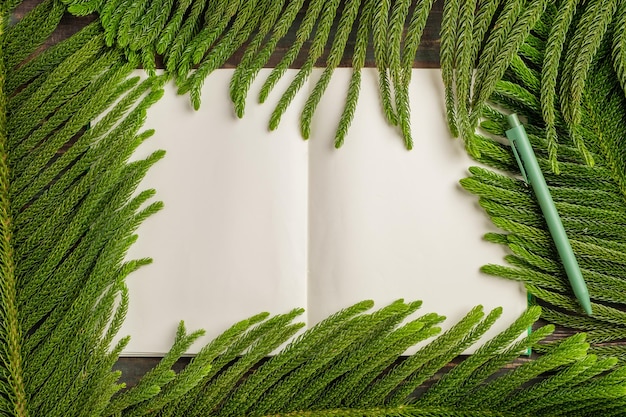Foto vista superior libro abierto con pluma verde y hoja de pino en el fondo de la mesa de madera