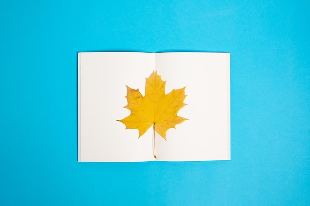 Vista superior del libro de papel en blanco con hoja de arce de otoño seca en la página