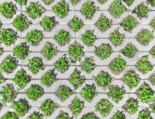 Vista superior de losas de pavimento de hormigón con agujeros rómbicos para el crecimiento de la hierba