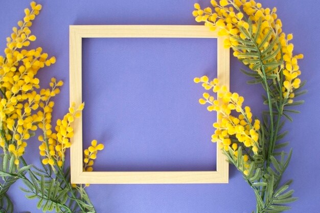 Vista superior del marco vacío de madera con una mimosa sobre fondo morado Una hermosa composición de flores de primavera con lugar para un texto de felicitación Día de San Valentín Cumpleaños de Pascua Feliz Día de la Mujer