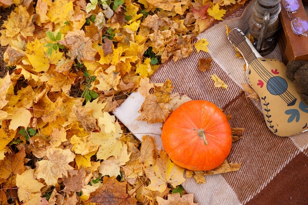 Vista superior de la naturaleza muerta de otoño en el parque