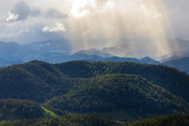 Vista superior Paisagem da Névoa da Manhã com Camada de Montanha no norte da montanha da Tailândia e nuvens na floresta rural da selva