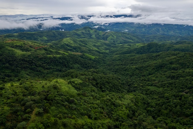 Vista superior Paisagem de névoa matinal com camada de montanha no norte da Tailândia cordilheira de montanha e nuvens na floresta de arbustos da selva rural