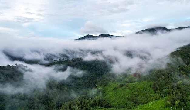 Vista superior Paisaje de niebla matutina con capa de montaña en Sapan nan Tailandia