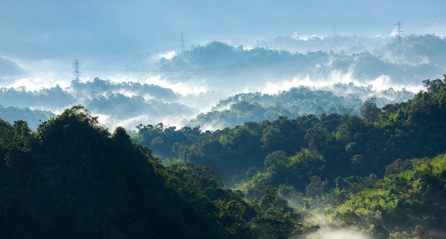 Vista superior Paisaje de niebla matutina con montaña Laye