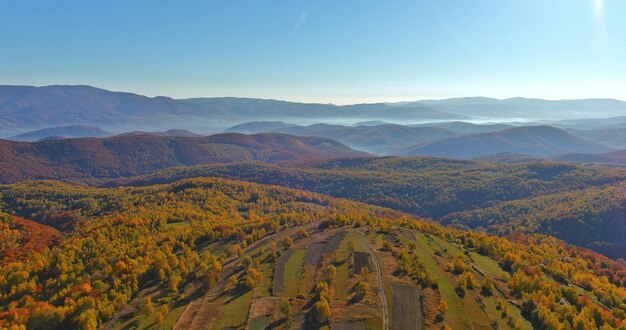 La vista superior desde un paisaje panorámico de bosque de montaña en otoño