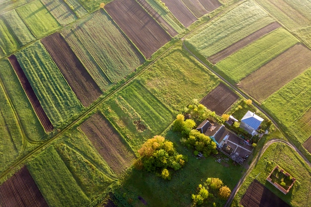 Vista superior del paisaje rural en día soleado de primavera. Cultive la cabaña, la casa y el granero en fondo verde y negro del espacio de la copia del campo. Fotografía de drones.