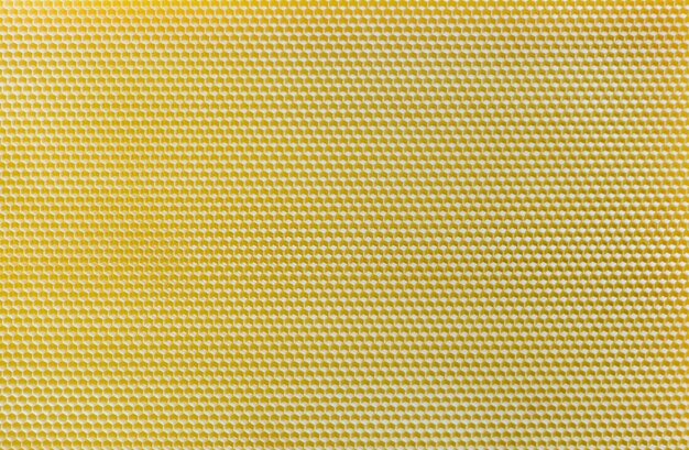 Vista superior del panal amarillo. Textura de panal sin fisuras.