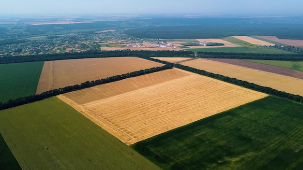 Vista superior panorámica de diferentes campos agrícolas partes del campo de trigo amarillo