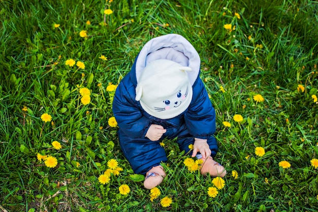 Vista superior de un pequeño bebé sentado en un prado verde y disfrutando de una alfombra amarilla de dientes de león. Tiempo de primavera en ci