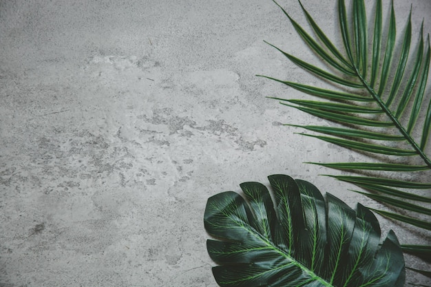 Vista superior plana de folhas de palmeira tropicais colocadas no espaço de cópia do piso de cimento