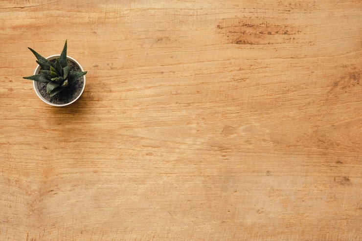 Foto vista superior de la planta de palmaditas en el fondo de la mesa de madera con espacio de copia