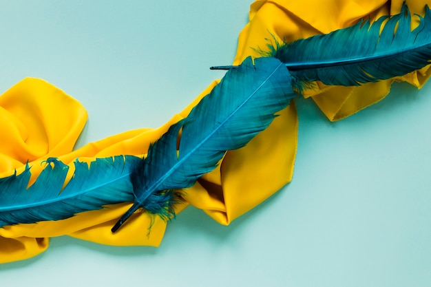 Foto vista superior de plumas para carnaval sobre tela