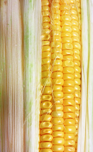Vista superior de primer plano de maíz