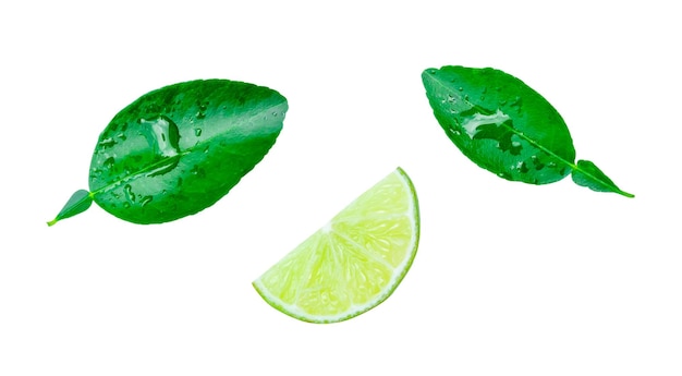 Vista superior de una rebanada o cuarto de limón verde con hojas y gotas esparcidas aisladas en blanco