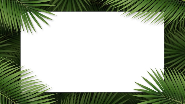 Vista superior del rectángulo con hojas de palma y espacio de copia