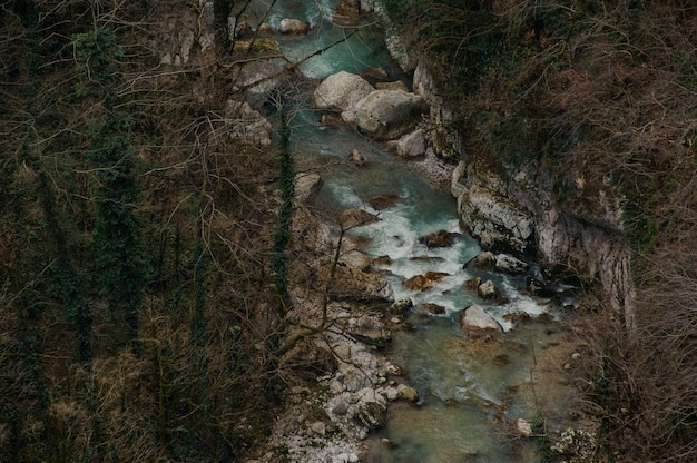 Vista superior del río del bosque que fluye entre las rocas en el cañón Martvili