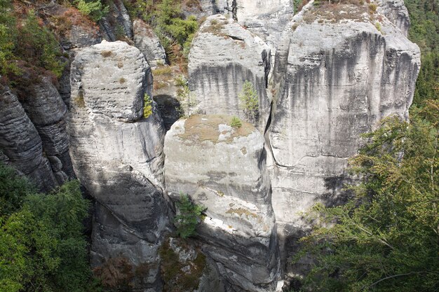 Vista superior de las rocas y el bosque en un día soleado en Alemania