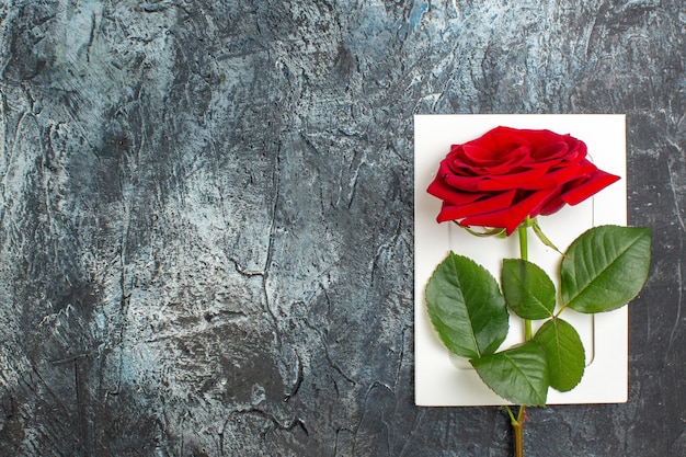 vista superior rosa roja para el día de san valentín sobre fondo gris claro corazón sentimiento amor vacaciones pasión matrimonio pareja