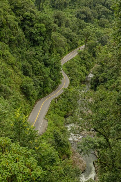 Vista superior de una ruta vacía de montaña junto a un río