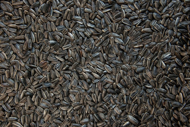Vista superior de semillas de girasol negras sobre fondo oscuro Foto de semilla de cips de color de aceite de maíz