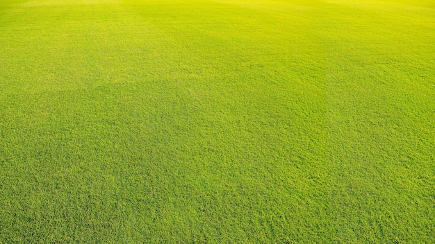 La vista superior de la superficie de hierba verde y la superficie, la vista panorámica, el césped de vista superior.