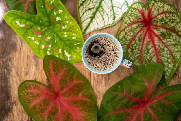 Vista superior de la taza de café contra hojas de Caladium multicolor sobre mesa de madera con textura