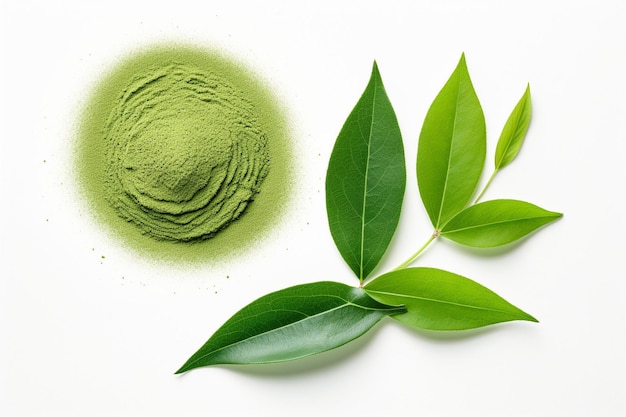 Vista superior del té verde en polvo y de la hoja de té verde aislada sobre un fondo blanco