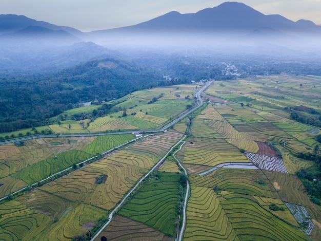 vista superior tiro aéreo manhã nublada na serra com arroz de beleza. norte de bengkulu, indonésia