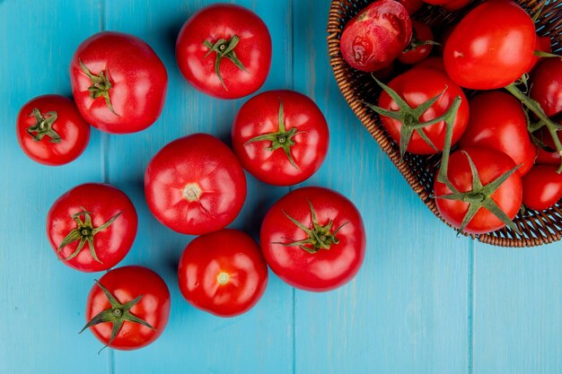 vista superior de los tomates con una canasta de tomates sobre un fondo azul