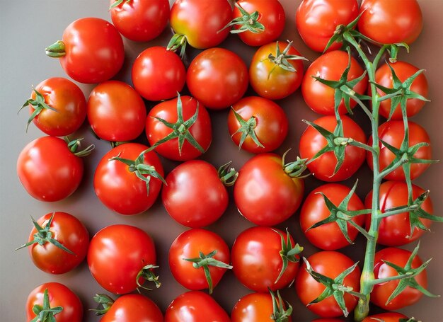 vista superior de tomates