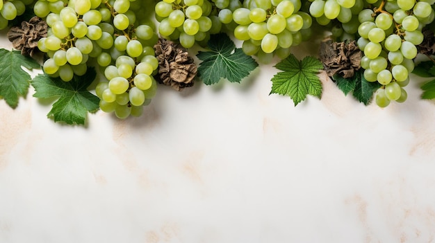 Foto vista superior de uvas verdes sobre un fondo blanco con espacio de copia para el texto