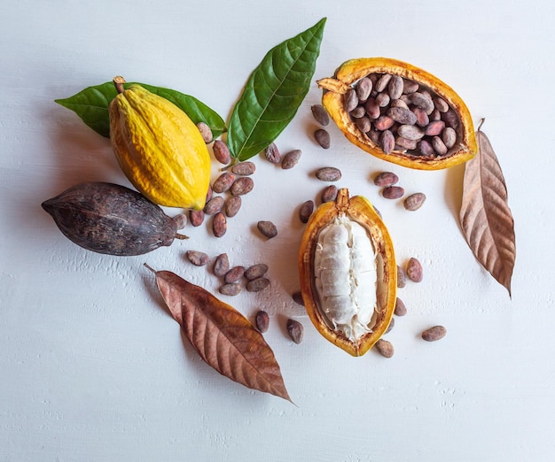 Foto vista superior de vainas de cacao frescas y maduras, mitad en fruta de cacao cortada y granos de cacao marrones secos