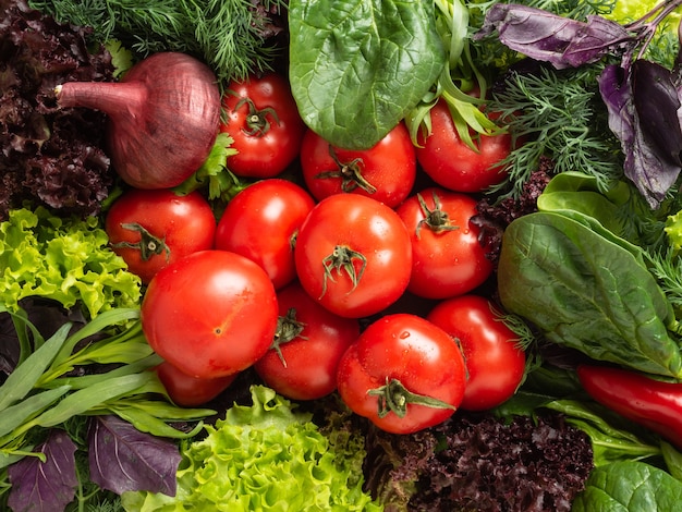 Vista superior - várias ervas frescas comestíveis, verdes e roxas estão dispostas em um círculo, no centro estão tomates vermelhos, pimentões e cebolas borgonha