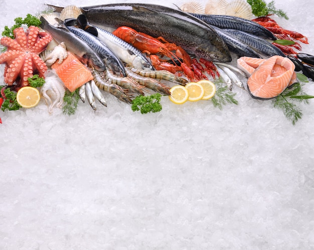 Foto vista superior de variedad de pescados y mariscos frescos en hielo