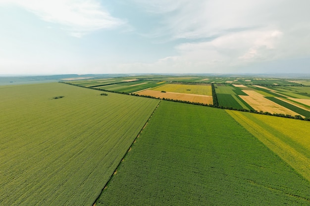 Vista superior vista aérea de campos agrícolas lindos campos verdes e amarelos fazenda paisagem pa ...