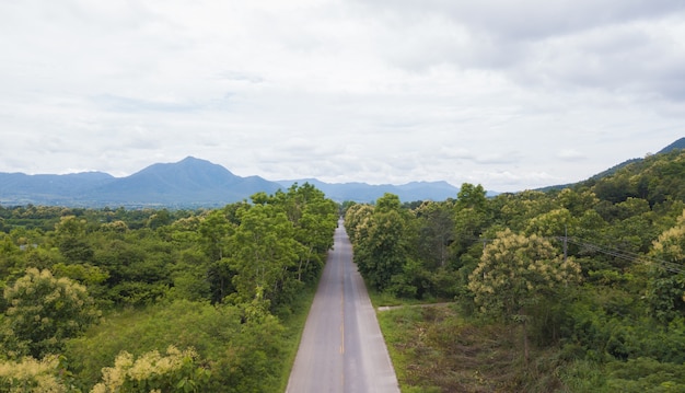 Vista superior, vista aérea, topo, de, a, estrada, através, a, árvores