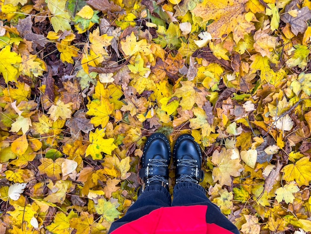 Vista superior de zapatos de cuero de pie sobre hojas de otoño en el parque