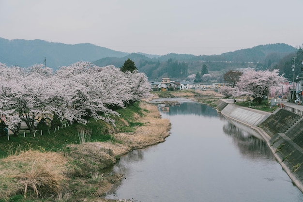 Foto vista de takayama durante la temporada de primavera