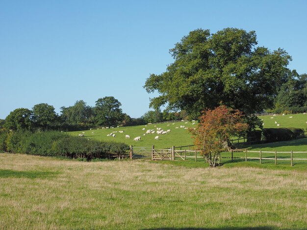 Vista de Tanworth en Arden