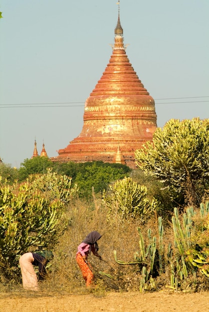 Foto vista de un templo