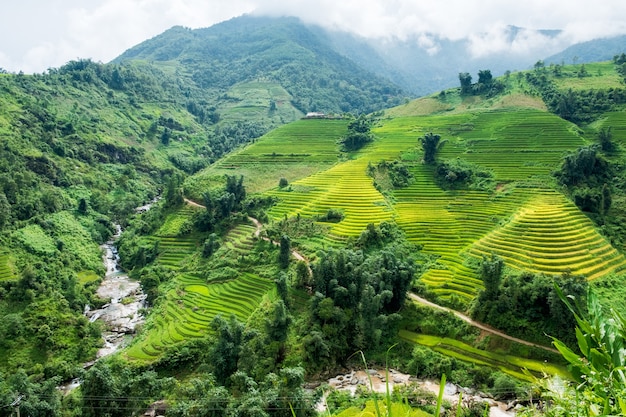 Vista de la terraza del campo de arroz con el río en el valle de Sapa, Vietnam