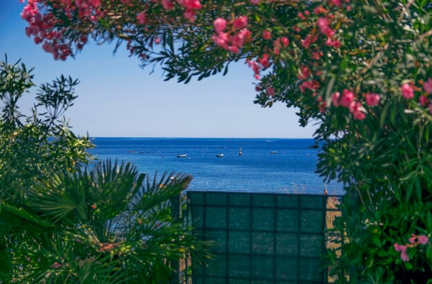 Vista desde la terraza de Cinque Terre