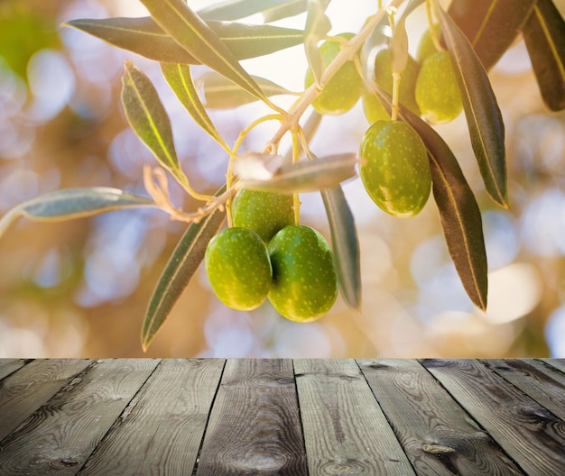 Vista desde la terraza de madera Olivos con hojas en el olivo Ventana de la naturaleza de la temporada