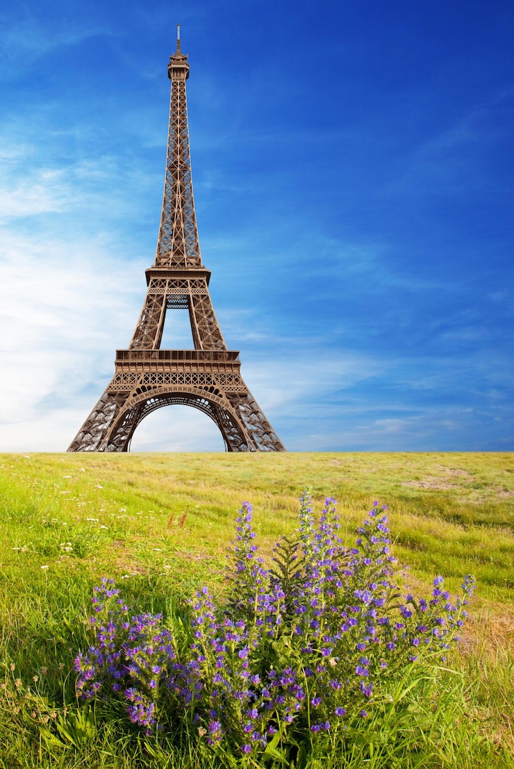 Foto vista de la torre eiffel con hierba y cielo azul