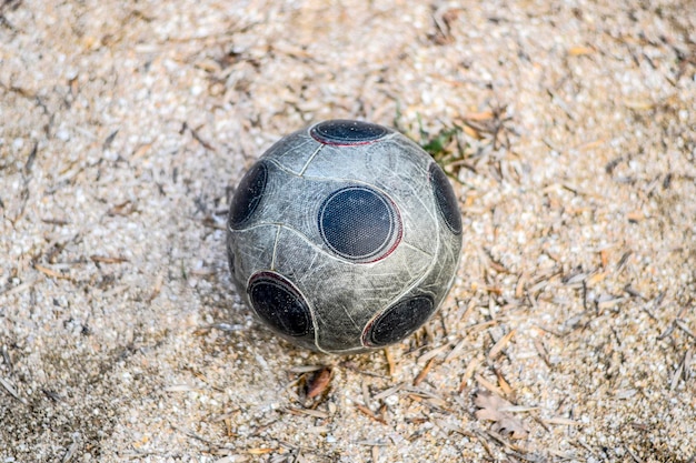 Foto vista de la tortuga en ángulo alto