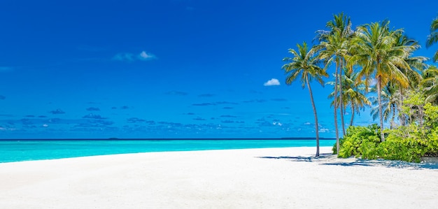 Vista tranquila da praia nas Maldivas. Ilha de praia paradisíaca, plano de fundo para viagens de verão e férias