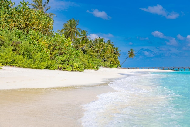 Vista tranquila da praia nas Maldivas. Ilha de praia paradisíaca, plano de fundo para viagens de verão e férias