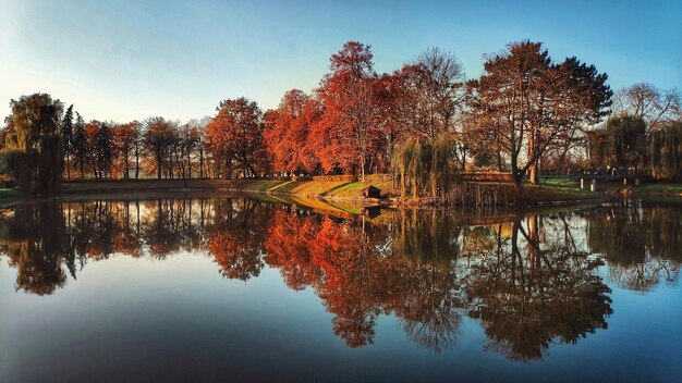 Foto vista tranquila de árvores com folhas coloridas refletidas no lago contra o céu em um dia ensolarado de outono